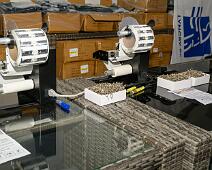 20251004_09-24-46__DSC3286