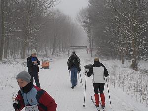 Gribskov 2006