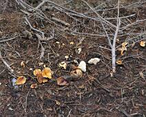 2012-11-25 _12-52-30_DSC_1616