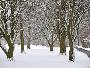 Vigerslev parken 2009