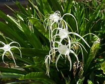 2012-09-15_15-51-59__DSC0070