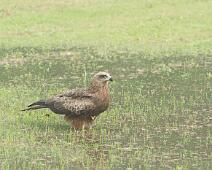 2010-10-21_07-07-05__DSC2686