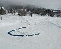 2010-03-22_10-31-02_DSC_0005