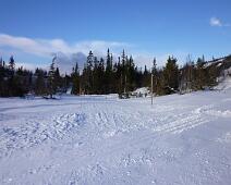 2011-02-04_11-05-48_P1000037