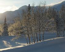 2012-01-30_09-52-23__DSC0003