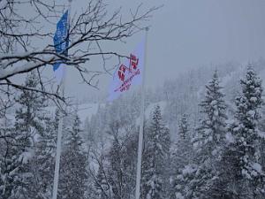 DM Sprint stafet
