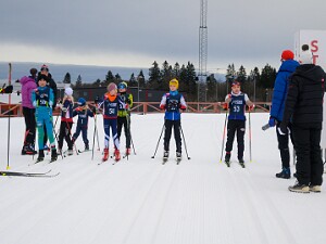 Lang fri med podier