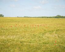 20090613_121540_DSC_4476