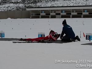 Skiskydning